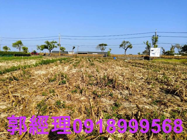 台南佳里農地-8