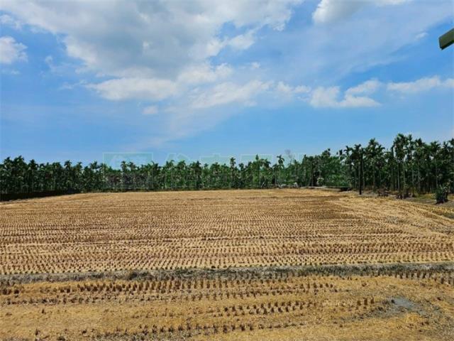 屏東新埤農地-1