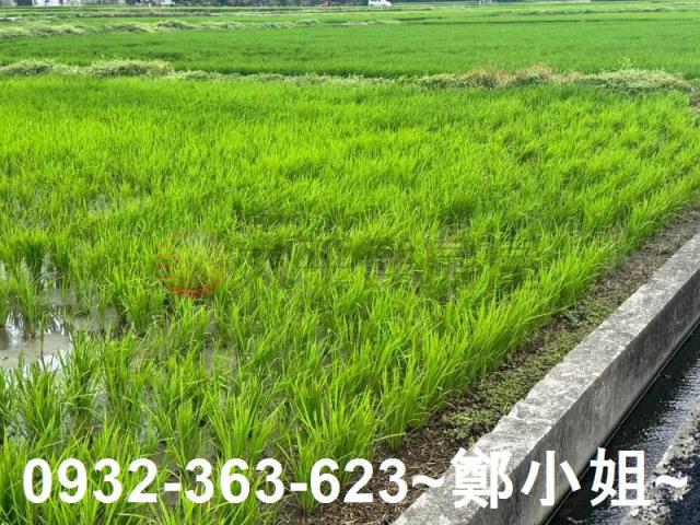 新屋農地-9