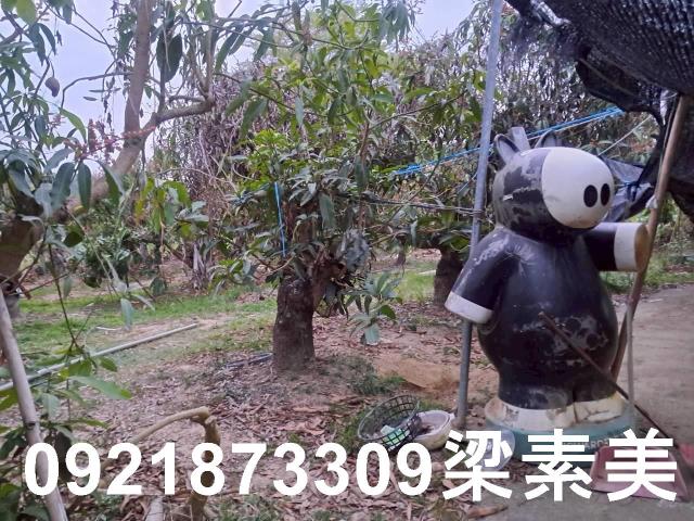 台南農地-8