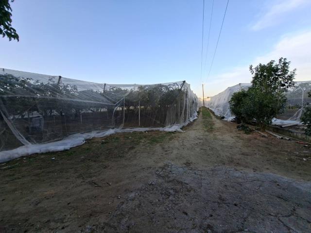 高雄農地-3