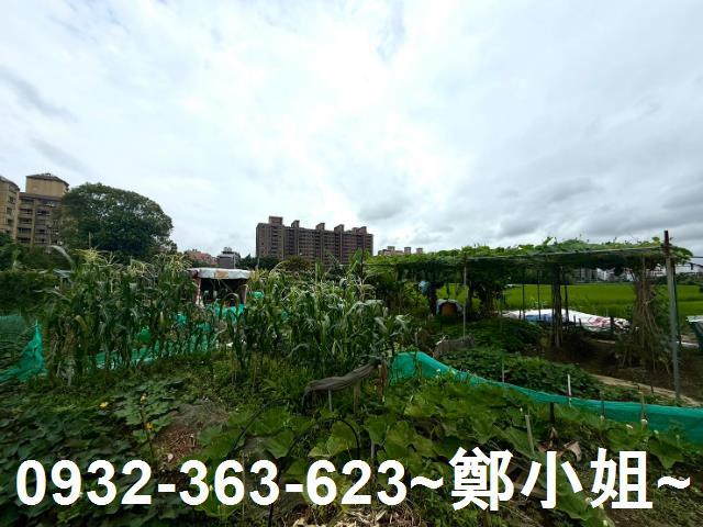 桃園農地-5