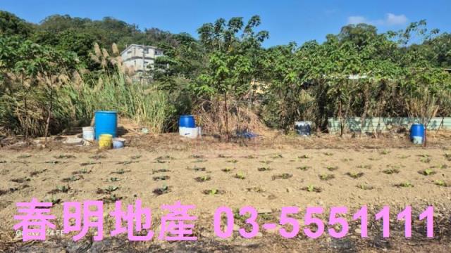 苗栗造橋農地-0