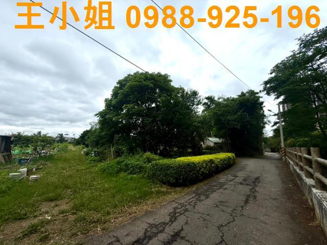 桃園桃園區農地-1