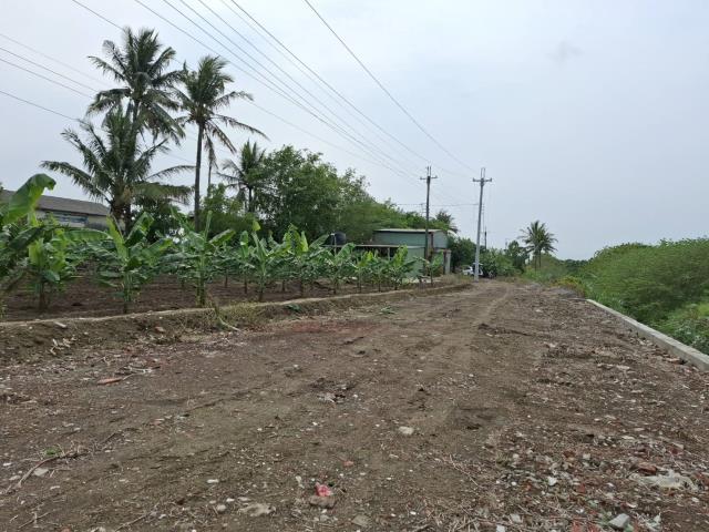 高雄路竹農地-4