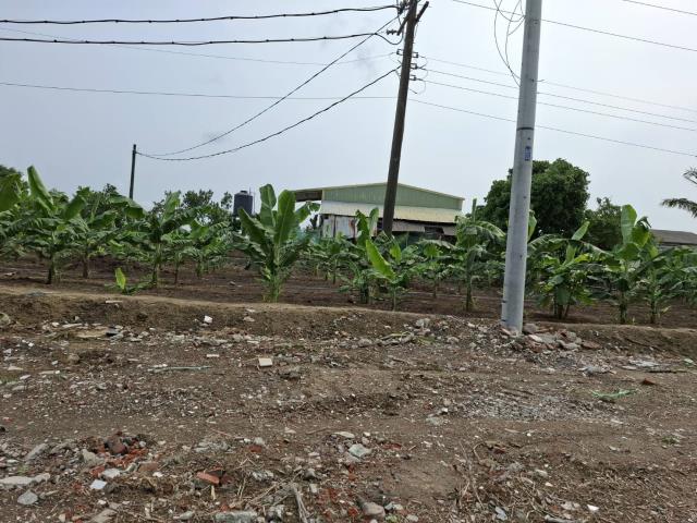 高雄路竹農地-6