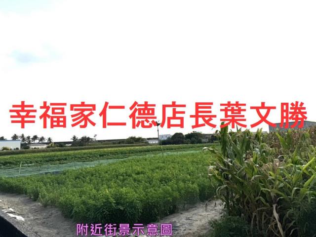 安定農地-14