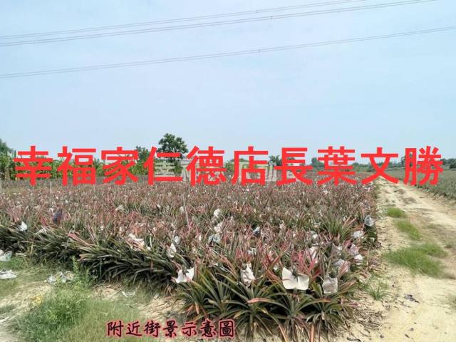 關廟農地-0
