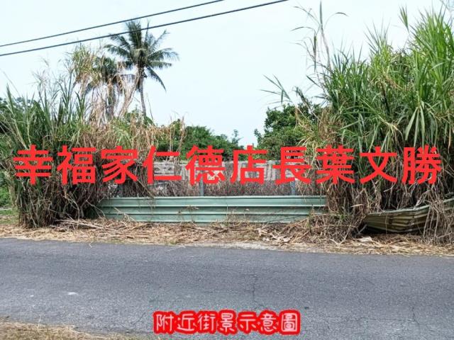 安南農地-6
