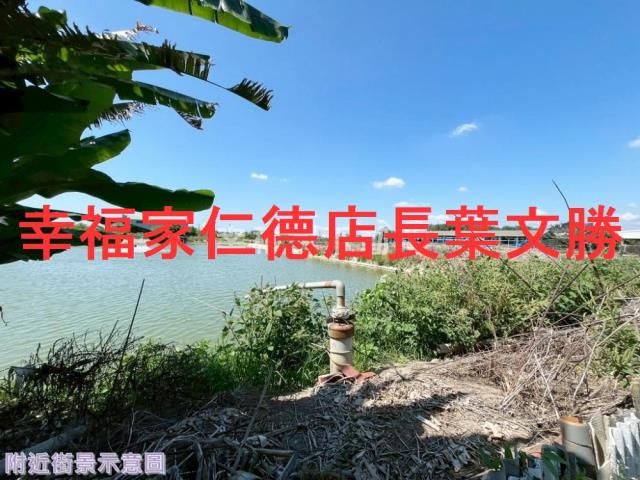 仁德農地-4
