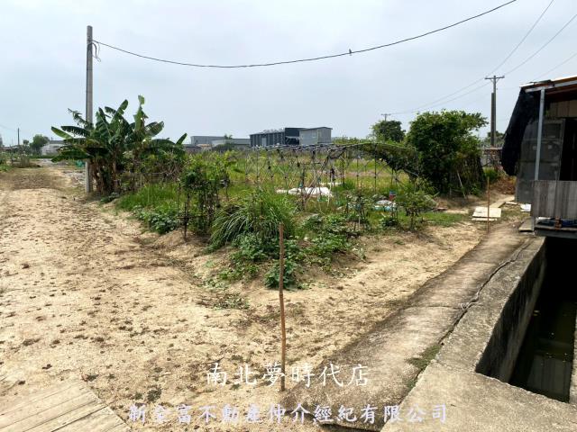 西區農地-12