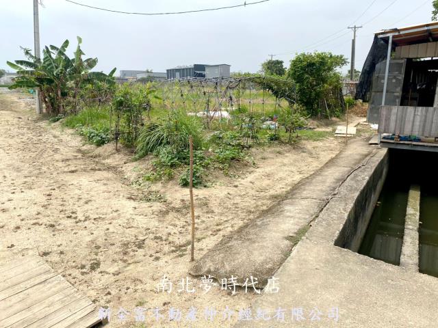 西區農地-14