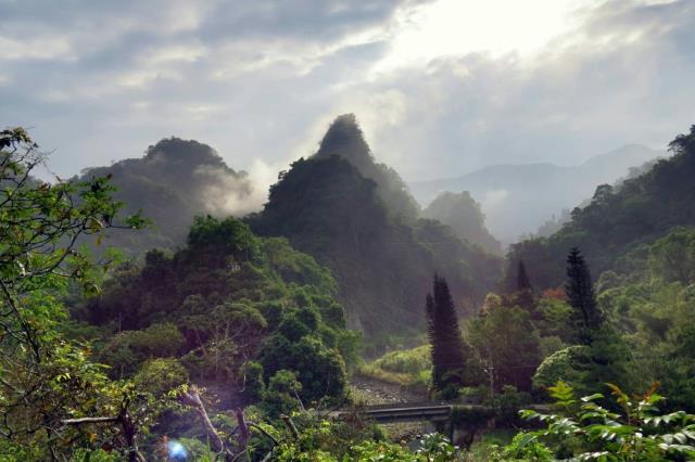 台中農地-7