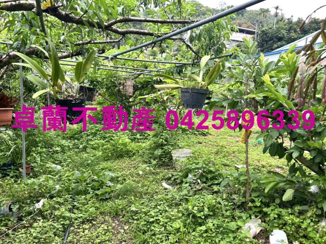 苗栗卓蘭農地-2