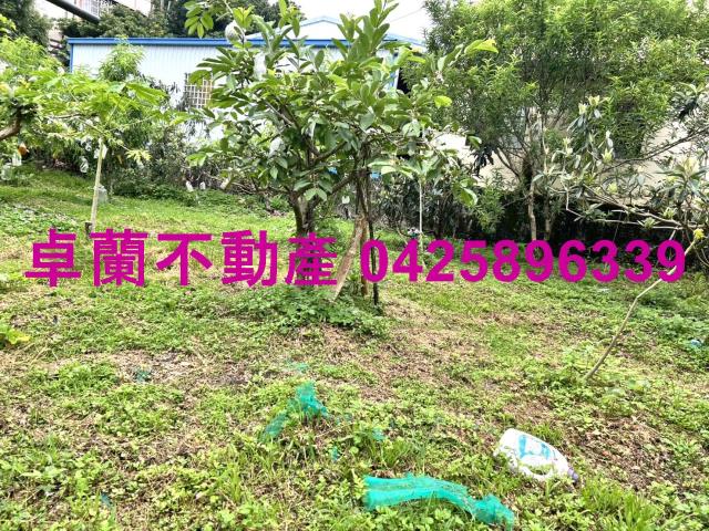 苗栗卓蘭農地-7