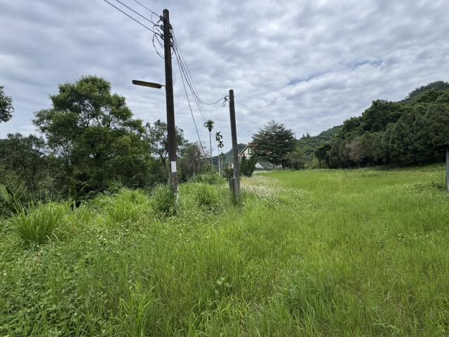 南投名間農地-1