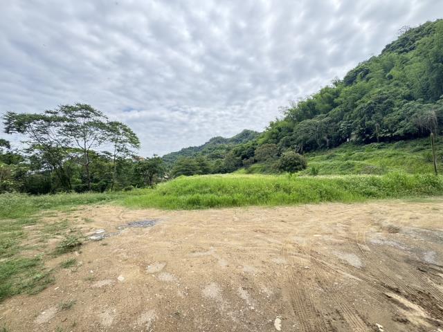 南投名間農地-2