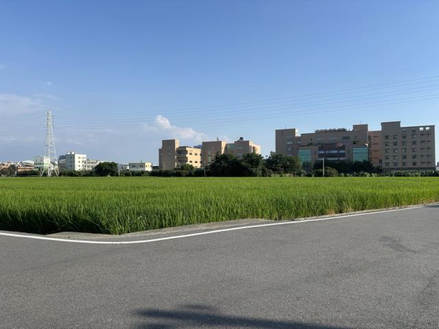 大雅農地-4