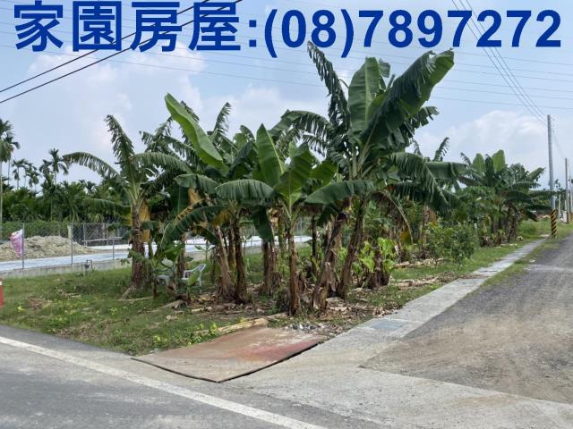 內埔農地-3