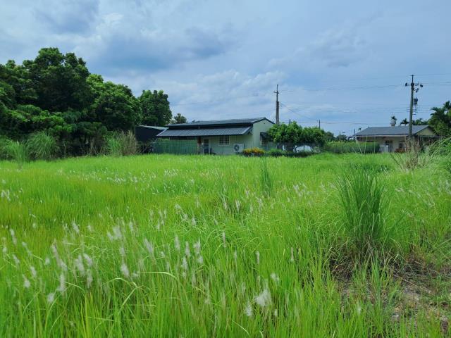 萬巒農地-8