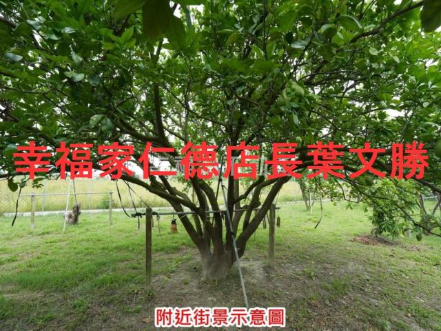 麻豆農地-3