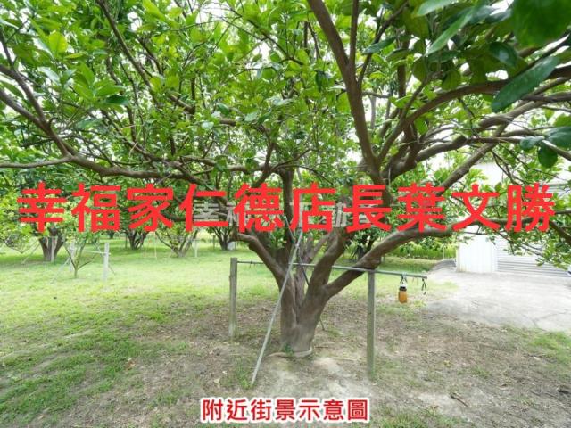 麻豆農地-7
