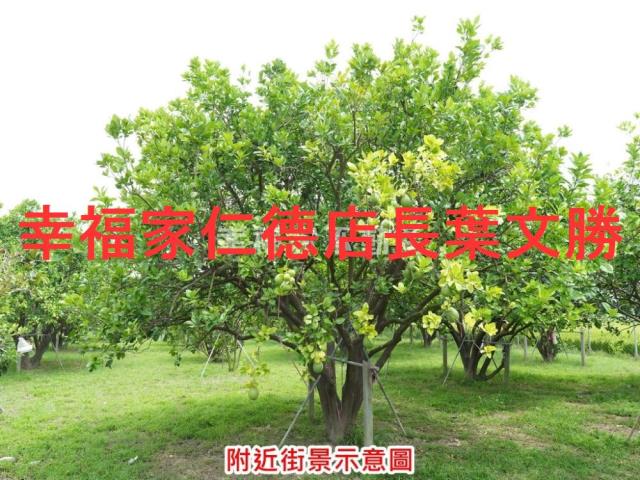 麻豆農地-8