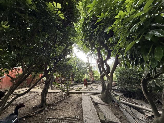 高雄農地-5