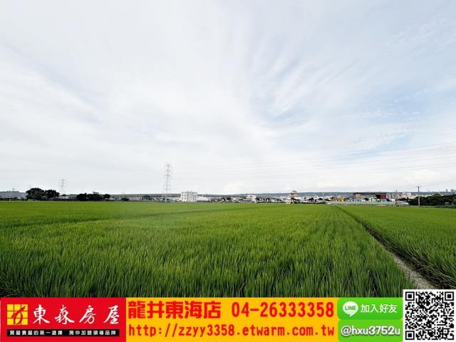 台中龍井農地-3