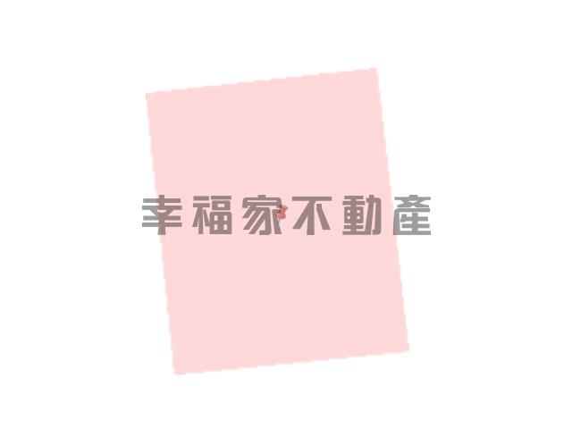 台南新化農地-14