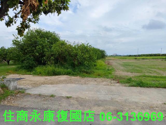 台南佳里農地-2