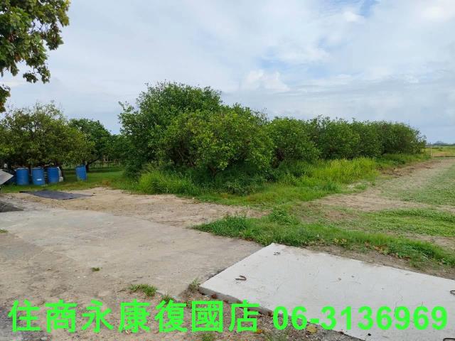 台南佳里農地-3