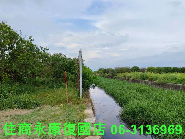 台南佳里農地-4