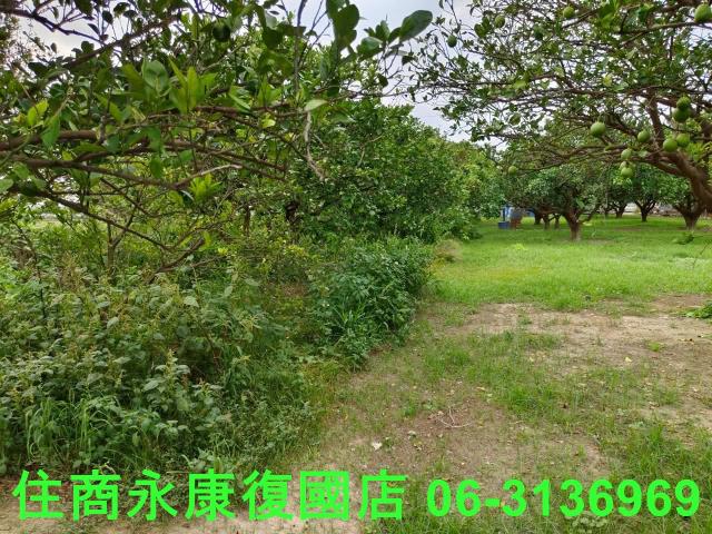 台南佳里農地-7