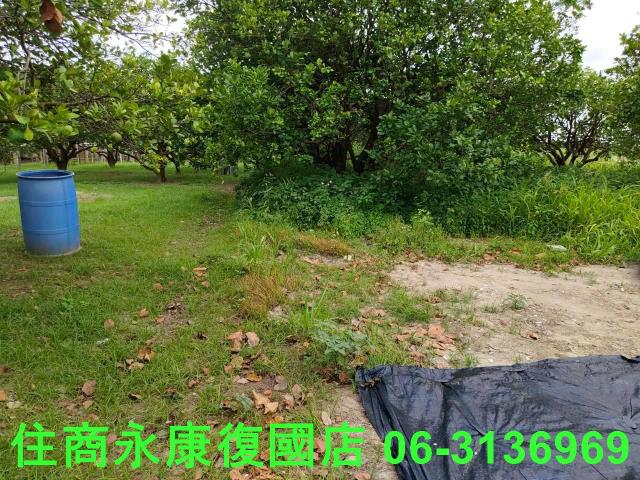 台南佳里農地-8