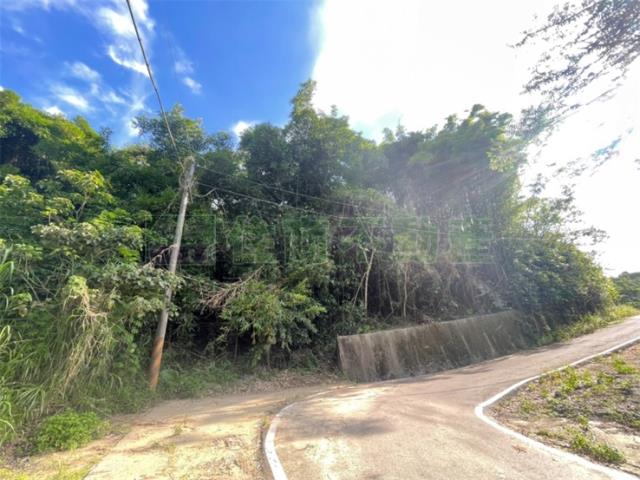 台南東山農地-2