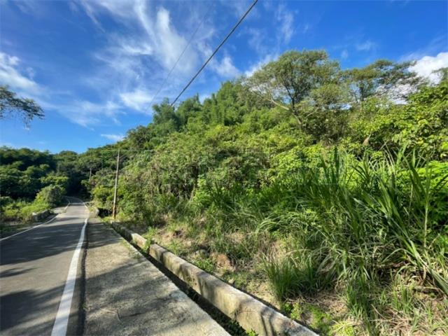 台南東山農地-8