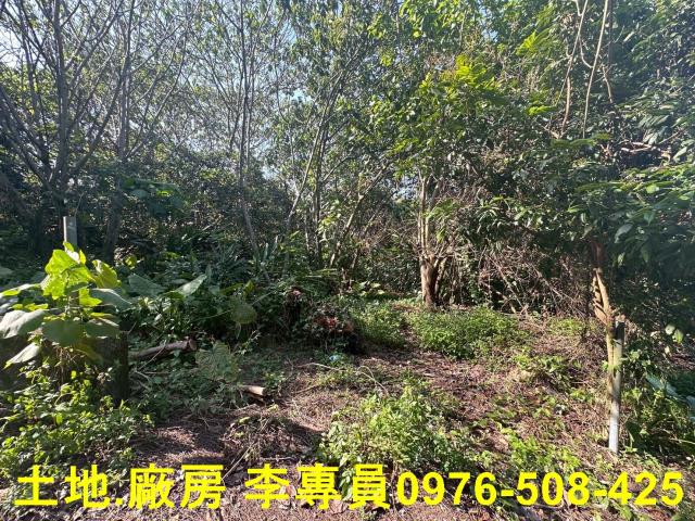 南投市農地-3