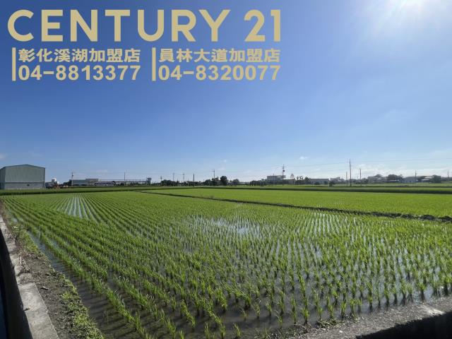 竹塘農地-2