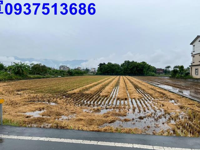 員山農地-5