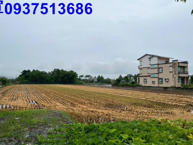 員山農地-6