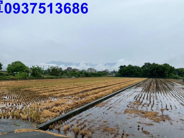 員山農地-3