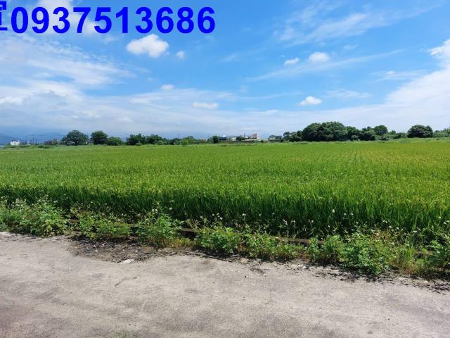 員山農地-2
