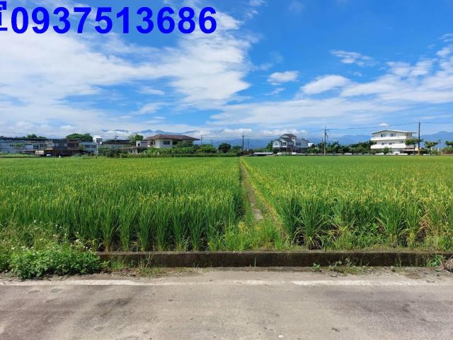 員山農地-7