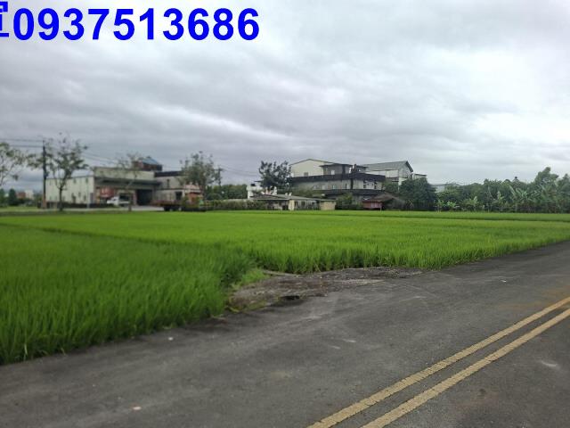 員山農地-0