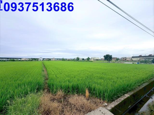 宜蘭市農地-0