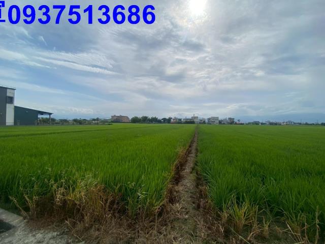 壯圍農地-6