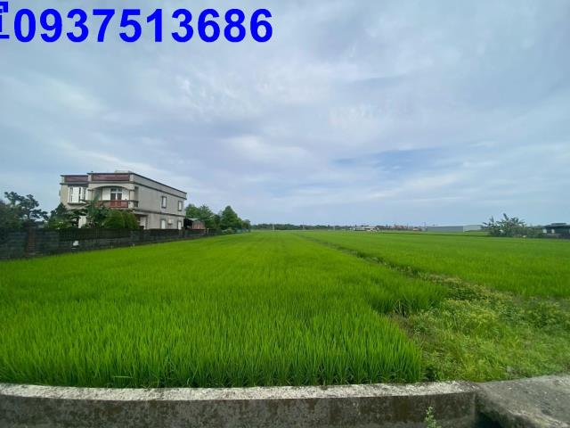 壯圍農地-3