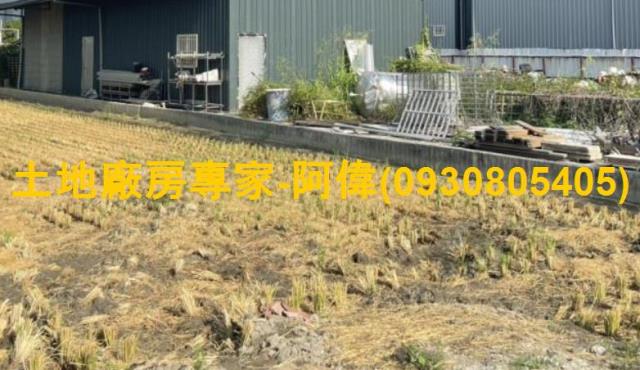阿蓮區復安農地