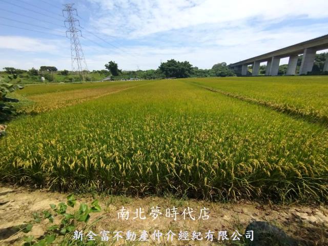 台南農地-11